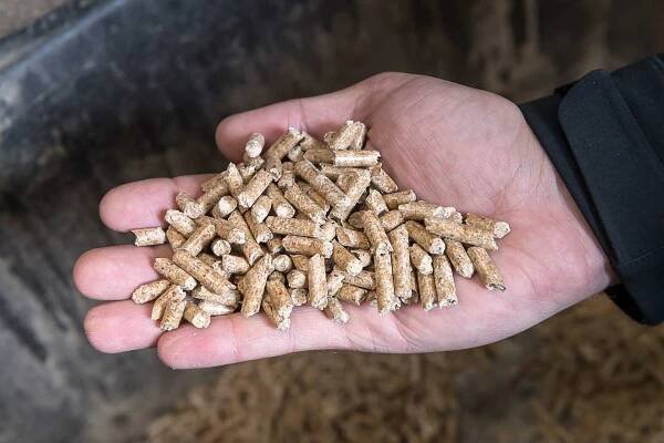 Holzpellets von Pfeifer: Erneuerbarer Energieträger auf dem Vormarsch - Pfeifer Group - Passion for Timber
