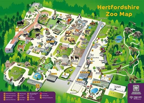 Find your way round our Hertfordshire Zoo