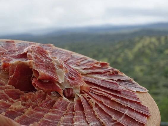 EL JAMÓN DE BELLOTA IBÉRICO