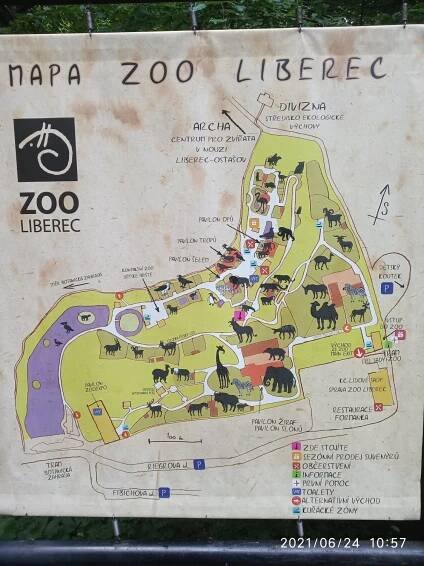 Školní výlet 1. tříd – ZOO Liberec – ZŠ Husitská Nová Paka