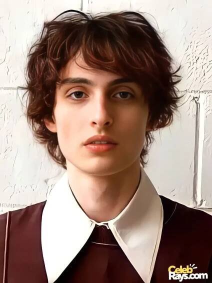Finn Wolfhard wiki facts