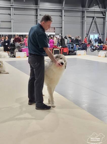 PRAGUE EXPO DOG PRAHA TRIO CACIB – 1.12. 2024 - BABYLON BOHEMIA