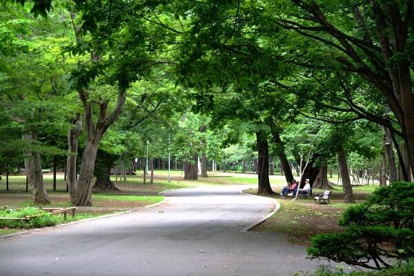 Maruyama Park Sapporo