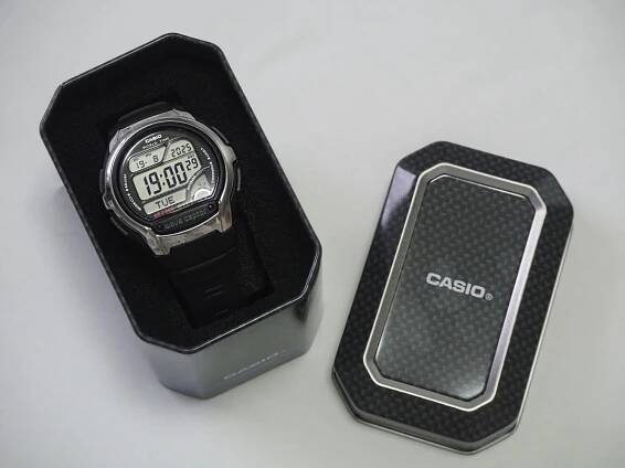A picture of the Casio Wave Watch.