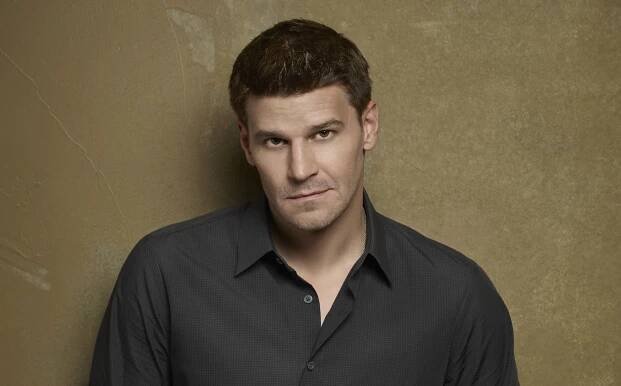 David Boreanaz To Topline CBS' Navy SEAL Drama Pilot In Recasting