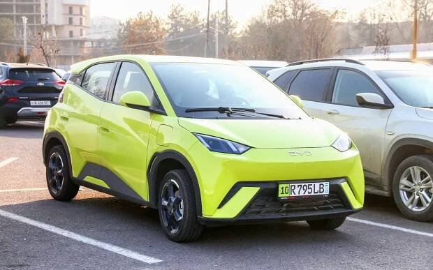 Galerie: Elektroauto za 170 000. Čína předstihla Západ a tlačí ceny dolů, pozici drží jen Škoda Auto - Fotka 1 - Echo24.cz