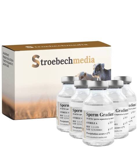 Ruminant Media Products - Stroebech Media