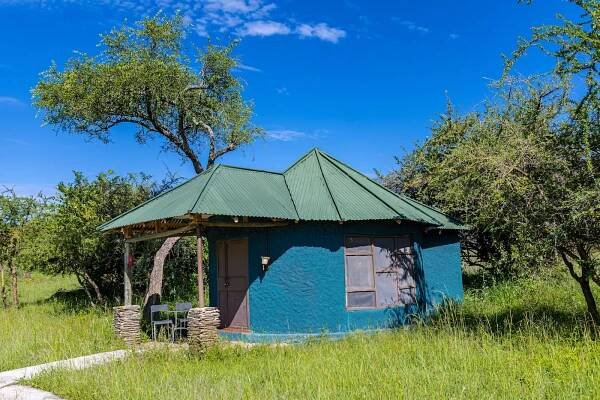 Choosing Between Safari Lodges and Tented Camps: What Suits You Best? - Tanzania Wild Camp