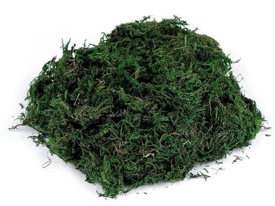Dekorační mech 50 g - Prima Obchod