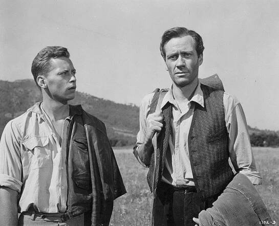 Mel Ferrer