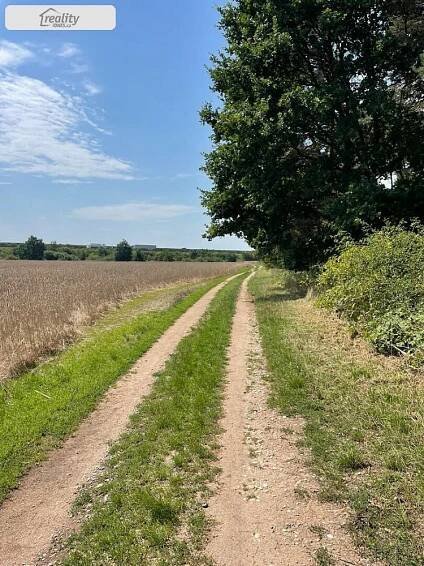 Prodej Pozemek, Olešnice, okres Hradec Králové