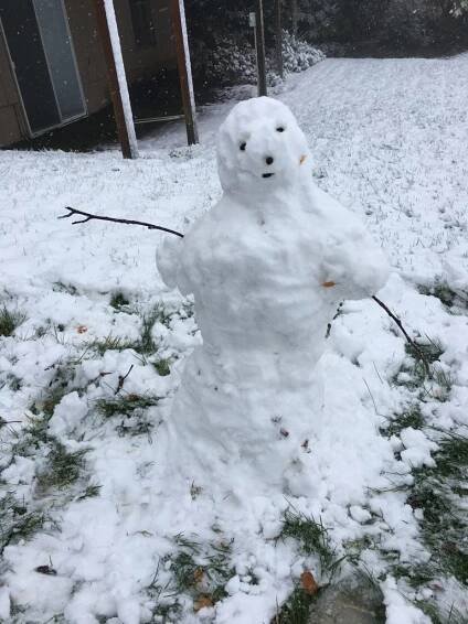 Snow – Richard Mann Author