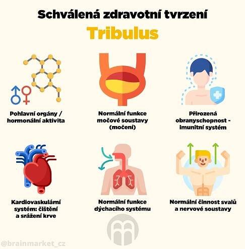 BrainMax Testamento 120 kapslí