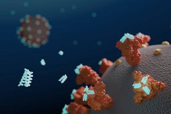 De novo minibinders target SARS-CoV-2 Spike protein • Baker Lab