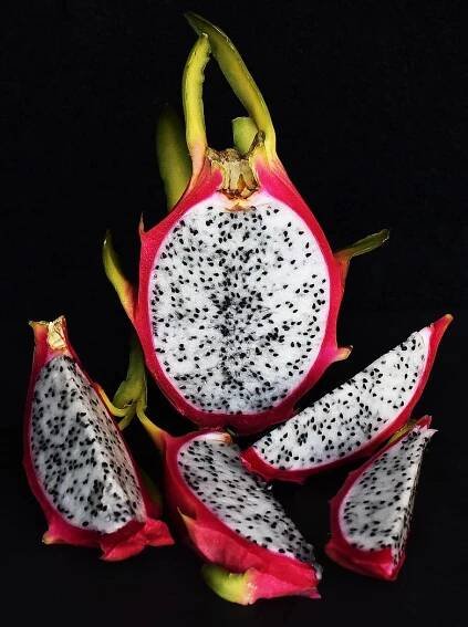 Semena Dračí Ovoce Hylocereus undatus Bílá Pitahaya exotické rostliny setí Kód výrobce INSSEED0033