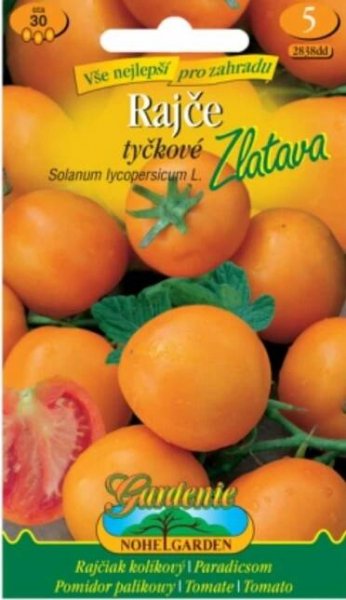 Rajče tyčkové, Zlatava (Semena)