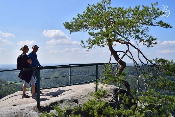 Přes Chléviště na Suché skály – Turisticky gurman