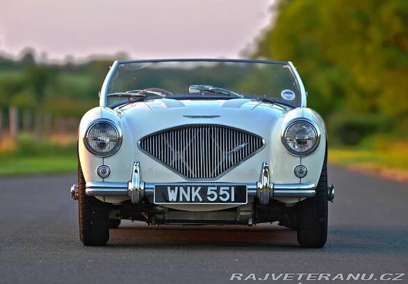 Austin Healey 100 BN2 Lemans