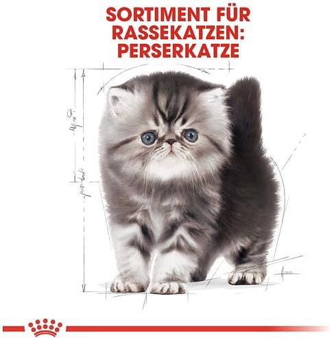 Royal Canin Granule pro kočky Persian Kitten 2 kg