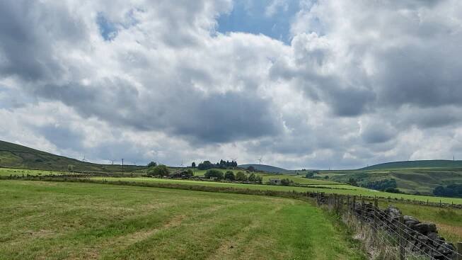 Dave Allen: Photographs
