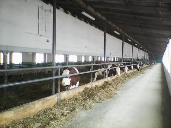 Photo0032