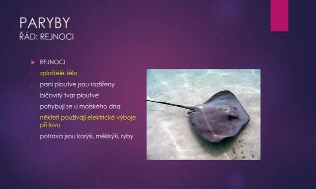 5. náhled výukového kurzu Paryby