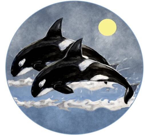 Velryby, Moře, Logo, Měsíc, Orca