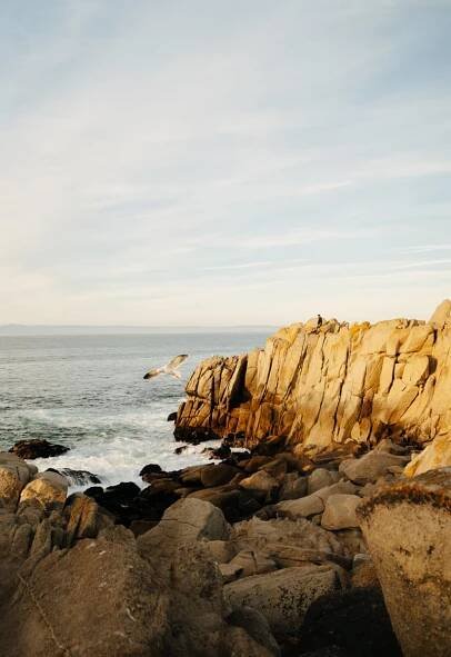 Scuba Dive, Snorkel, & Surf at Lover's Point Park, Monterey · Anna Tee