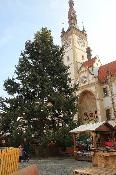 Vánoční trhy v Olomouci otevřou před víkendem, v neděli rozsvítí strom