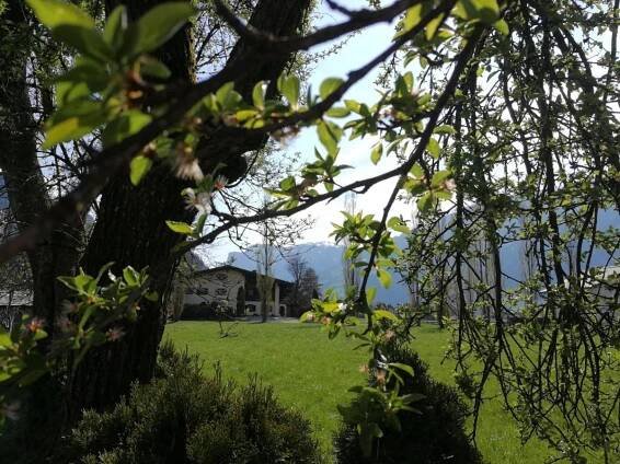 Apartmán Chalet Waldheim *