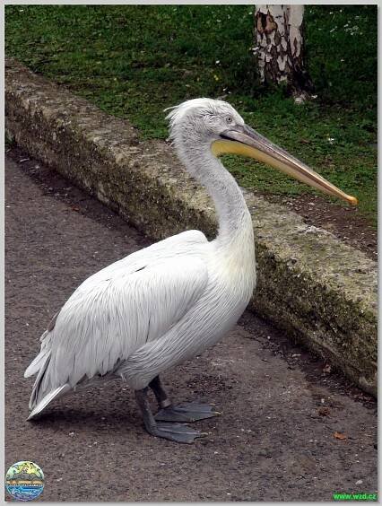 Zoopark Chomutov