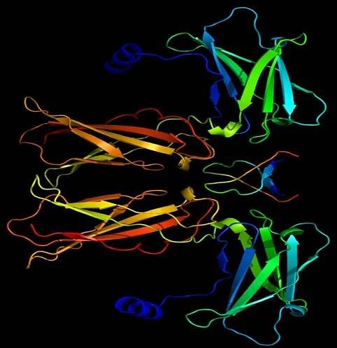 Erythropoietin (EPO-hormone) Esthetics - Famous Proteins in Frames