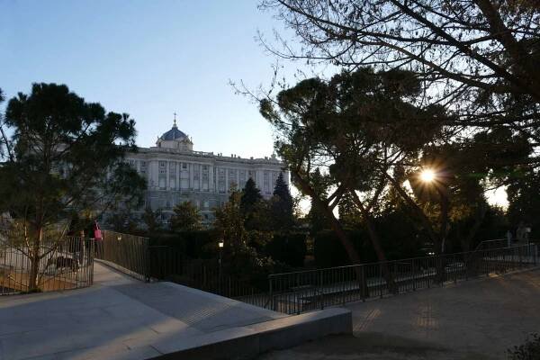 V dálce budova královského paláce a stromy ze kterých vykukuje slunce