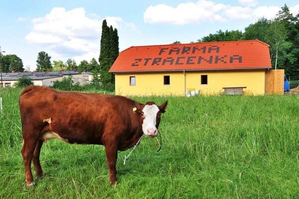 Farma Ztracenka