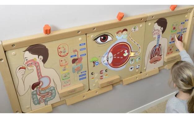 Vzdělávací sada Montessori dýchací systém MASTERKIDZ