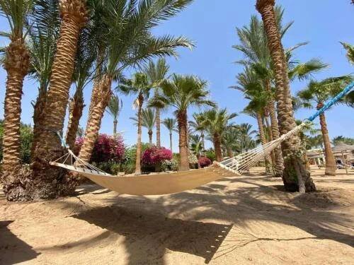 Fotografie z fotogalerie ubytování Brayka Bay Reef Resort v destinaci Abu Dabab
