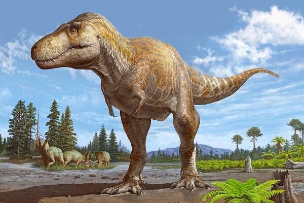 T. rex | 100+1 zahraniční zajímavost