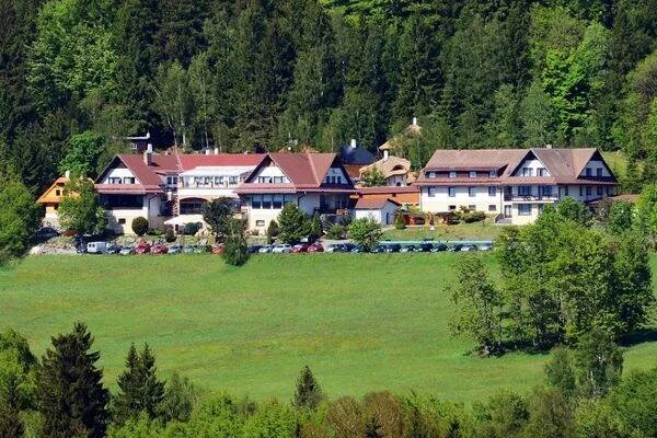 Restaurace Hotelu Podlesí foto 1