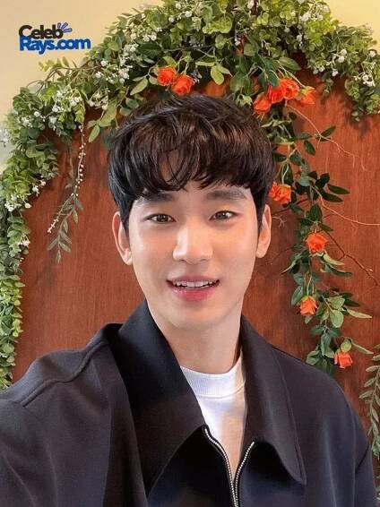 Kim Soo-hyun zodiac sign