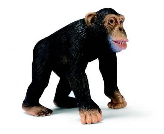 Schleich 14189 - Zvířátko - šimpanz