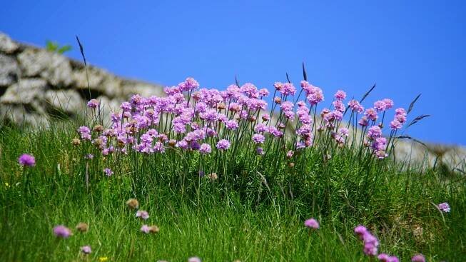 Counselling in Delta B.C. - Deltassist non-profit society