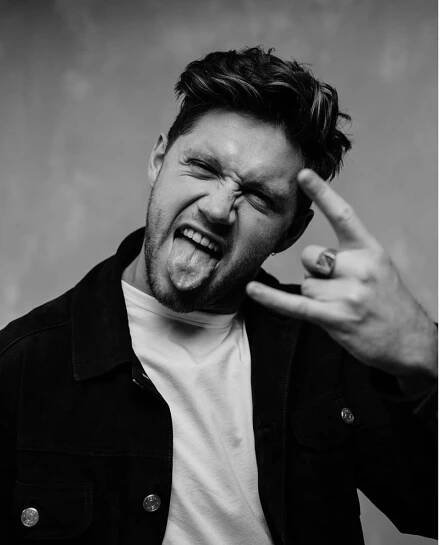 Niall Horan Instagram Image