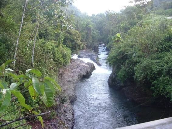 Narupa - Conservation Birding