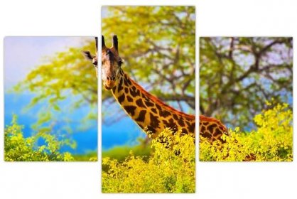 Obraz žirafy v Africe (V023370V90603PCS)
