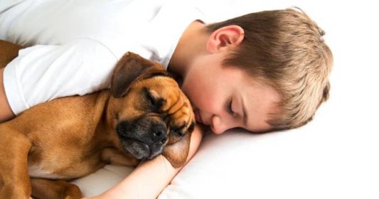 Nechat spát mazlíčka s dítětem v posteli je podle veterináře nevhodné z mnoha důvodů