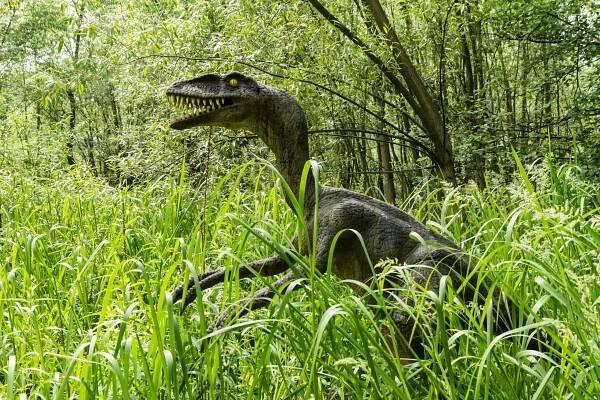 Herrerasaurus