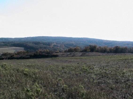 Stradonice - oppidum