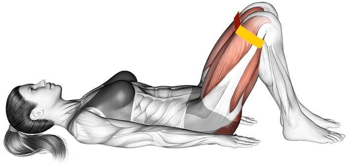 resistance band glute bridge