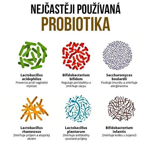 Histaminová intolerance | Výživová Therapie | Therapie | Daflex System ONLINE