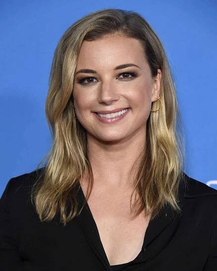 The Falcon and the Winter Soldier's Emily VanCamp Discusses Possible Everwood Reboot: 'There Had Been Talks'
